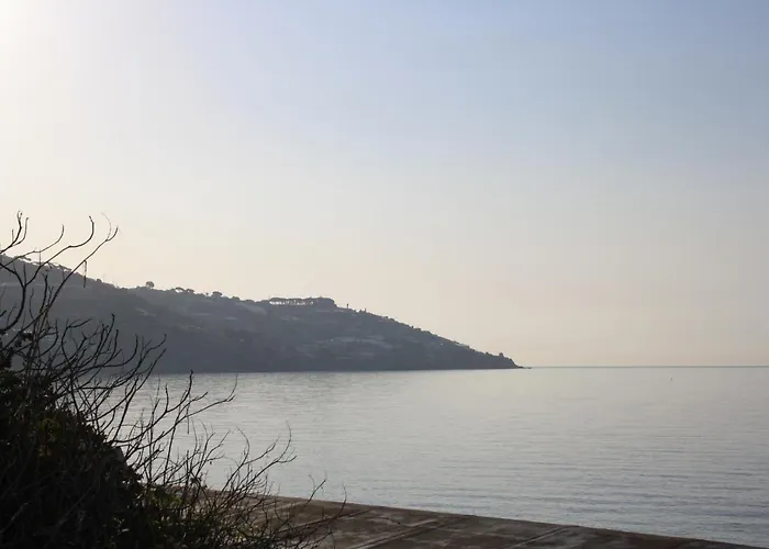 Micky House San Remo